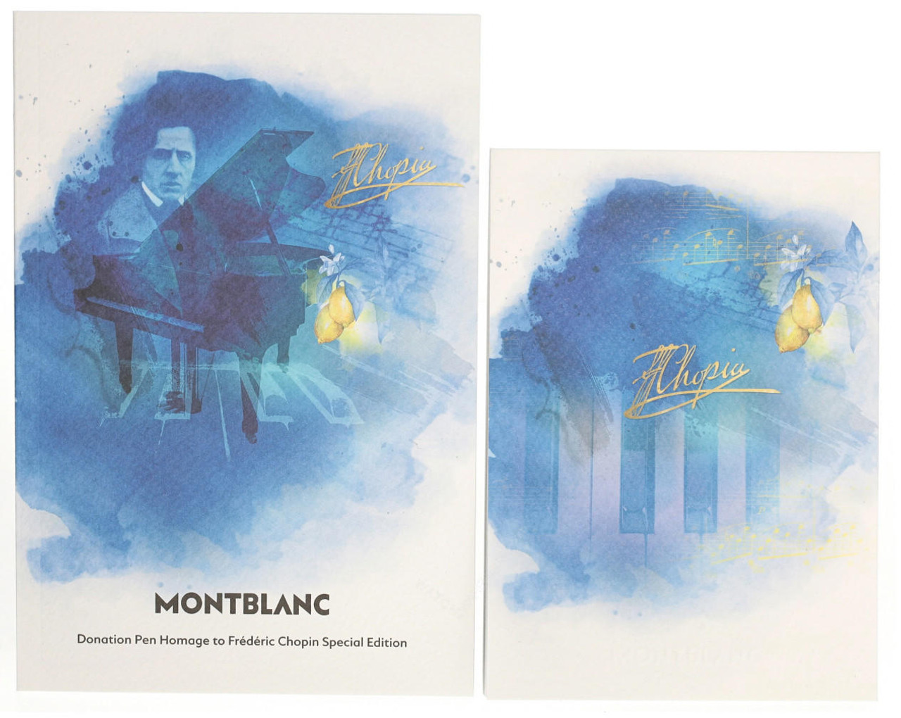 MONTBLANC Homage to Frederic Chopin Special Edition (M) Nib