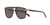CARTIER PANTHERE Black Buffalo Horn Grey Lens Men's Sunglasses Limited Edition CT0200S-001