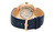 Rado watches RADO Florence Automatic 39MM Blue Dial Leather Unisex Watch R48905205 