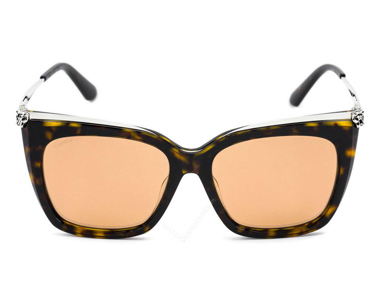 Eyewear Brands CARTIER Panthere Avana Acetate 55MM Cat Eye Sunglasses CT0030SA-002