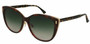 Eyewear Brands Gucci Havana Green Gradient Womens Sunglasses GG0193SK 004 58-16-150