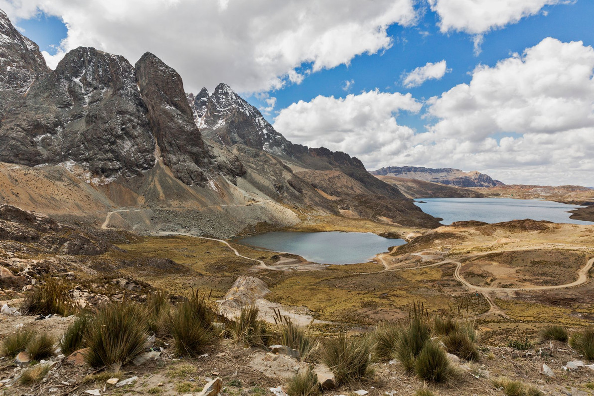 The Cultural Significance of Maca Root The Cultural Significance of Maca Root