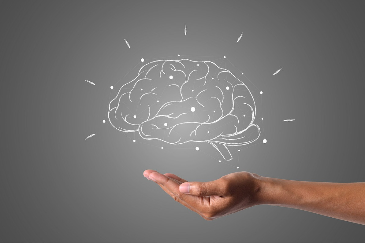 Maca For Your Brain Maca For Your Brain
