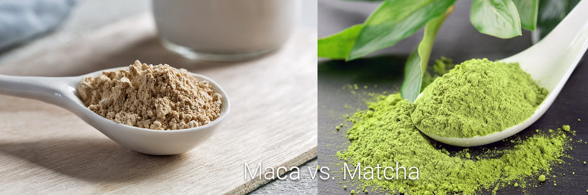 Which is Better, Matcha or Maca? Which is Better, Matcha or Maca?