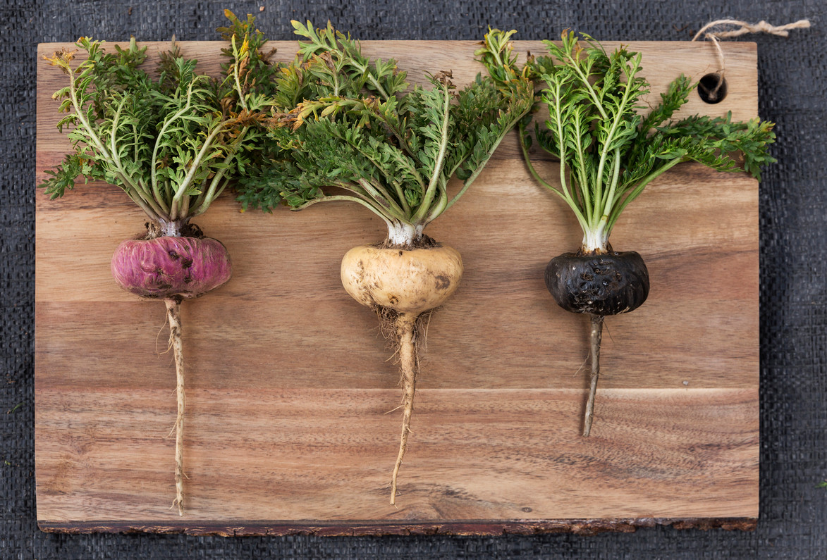 How to Choose the Right Type of Maca Root