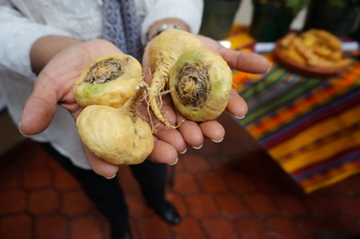 How Do I Take Maca?