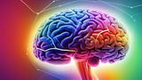 How Does Maca Improve Cognitive Function?