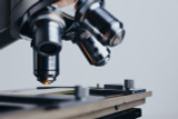 Is Maca FDA-Approved?