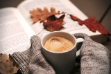 Maca Root Fall Flavor Recipes