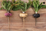 Gelatinized Maca VS Raw Maca