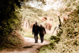 Staying Sharp as You Age with Maca Root