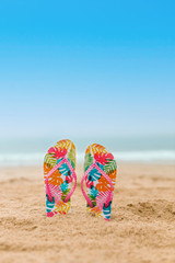 Stay Fresh This Summer With Maca Root