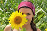 Achieving Estrogen Balance with Maca Root