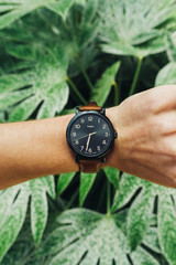 How Long Does It Take to See Results from Maca?