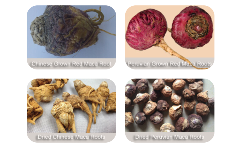 Comparison of Chinese-grown maca versus traditional Peruvian maca