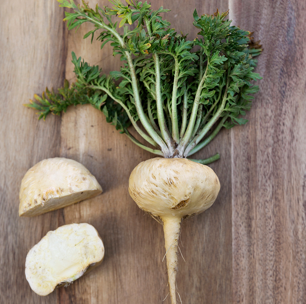 Freshly Cut Yellow Maca Root Fresh yellow maca root cut open to show the pale interior