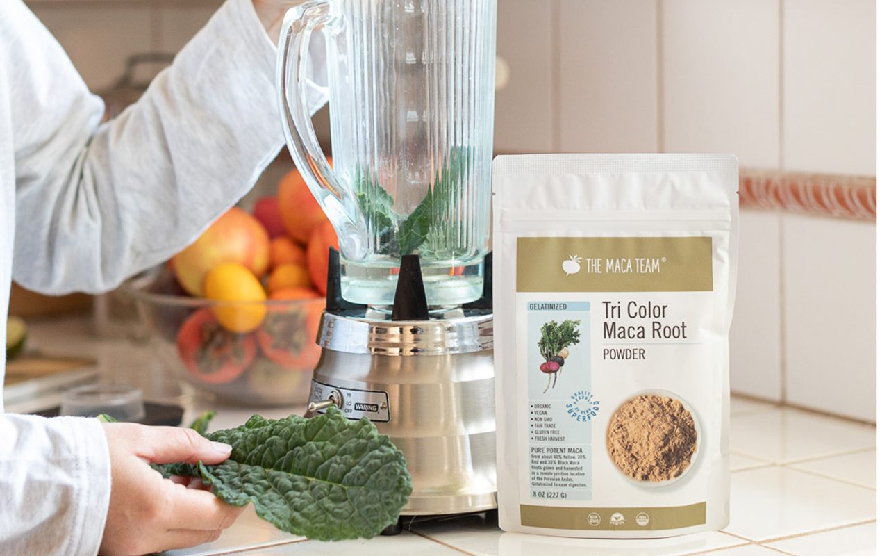 Gelatinized tri-color maca powder shown in a blender for everyday use