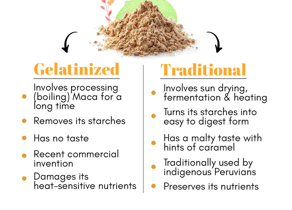 Graphic comparing gelatinized maca and traditional maca with several misleading claims