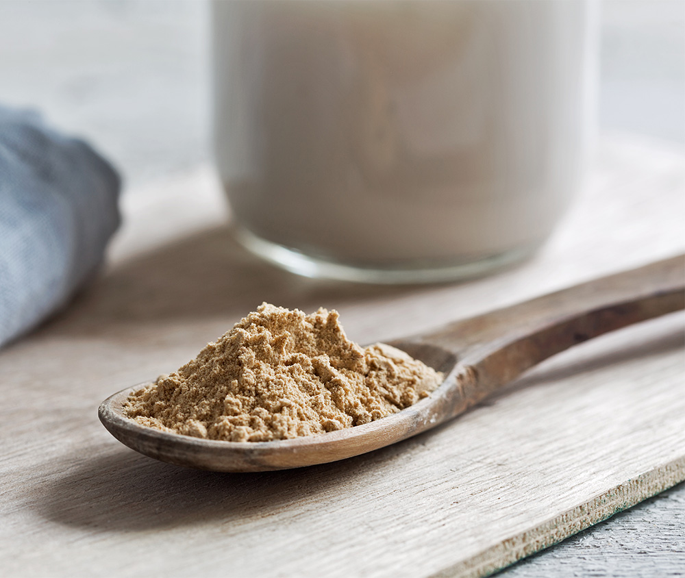 gelatinized yellow maca powder from the maca team