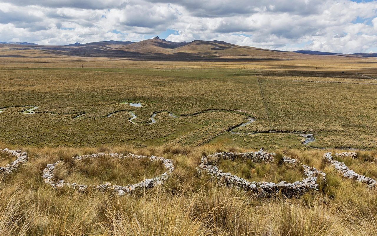 The high Andean puna landscape of central Peru where maca has traditionally been cultivated