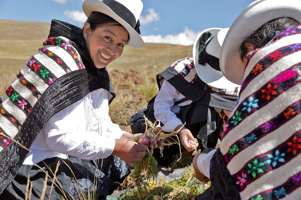 Peruvian maca farming community supported by The Maca Team.
