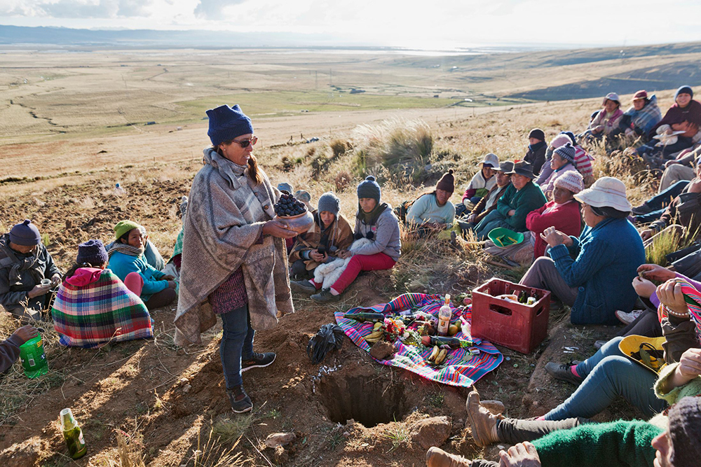 Traditional maca field blessing ceremony (pago a la tierra) in the Peruvian Andes