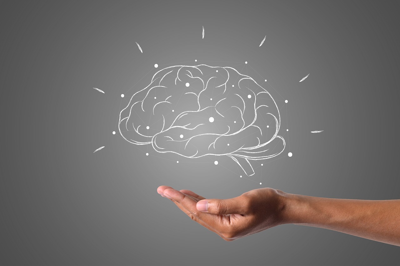 Maca and research into brain and neurological function