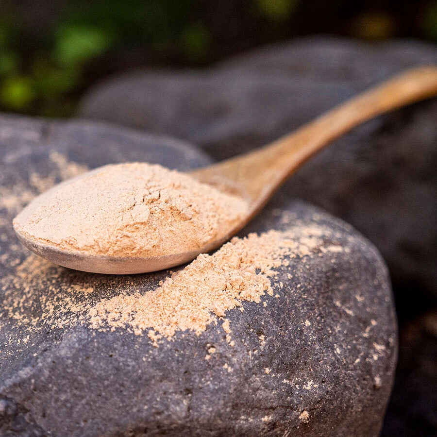 Maca powder in a daily food routine and its possible relationship to hunger