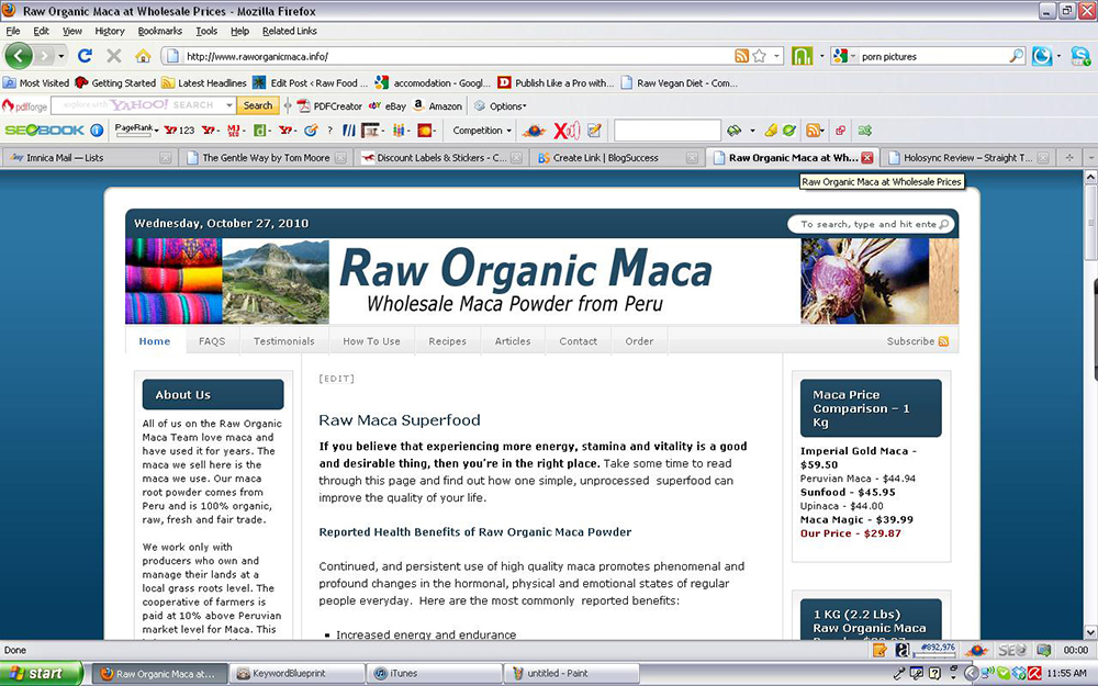 The original Maca Team website and early days