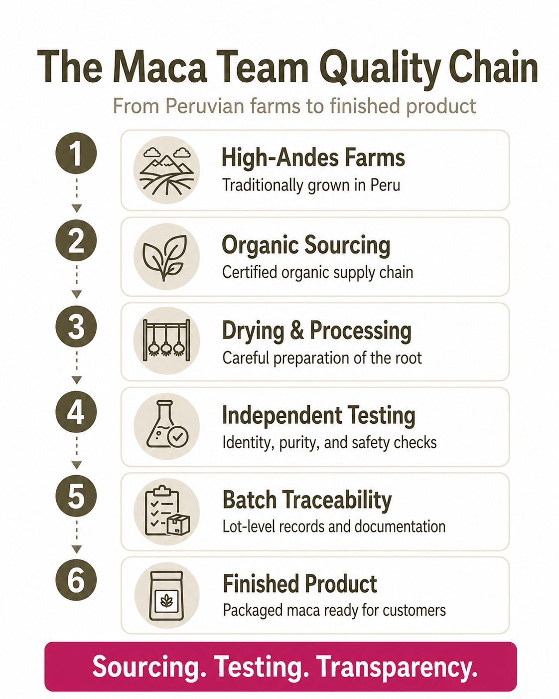 The Maca Team quality chain from Peruvian farms through organic sourcing processing testing traceability and finished product