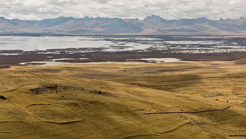 Traditional maca fields near Lake Jun&iacute;n, Peru