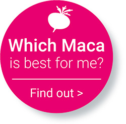 Which Maca Powder is Best-TheMacaTeam.com Which Maca Powder is Best-TheMacaTeam.com