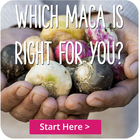 Which Maca is Best For Me?