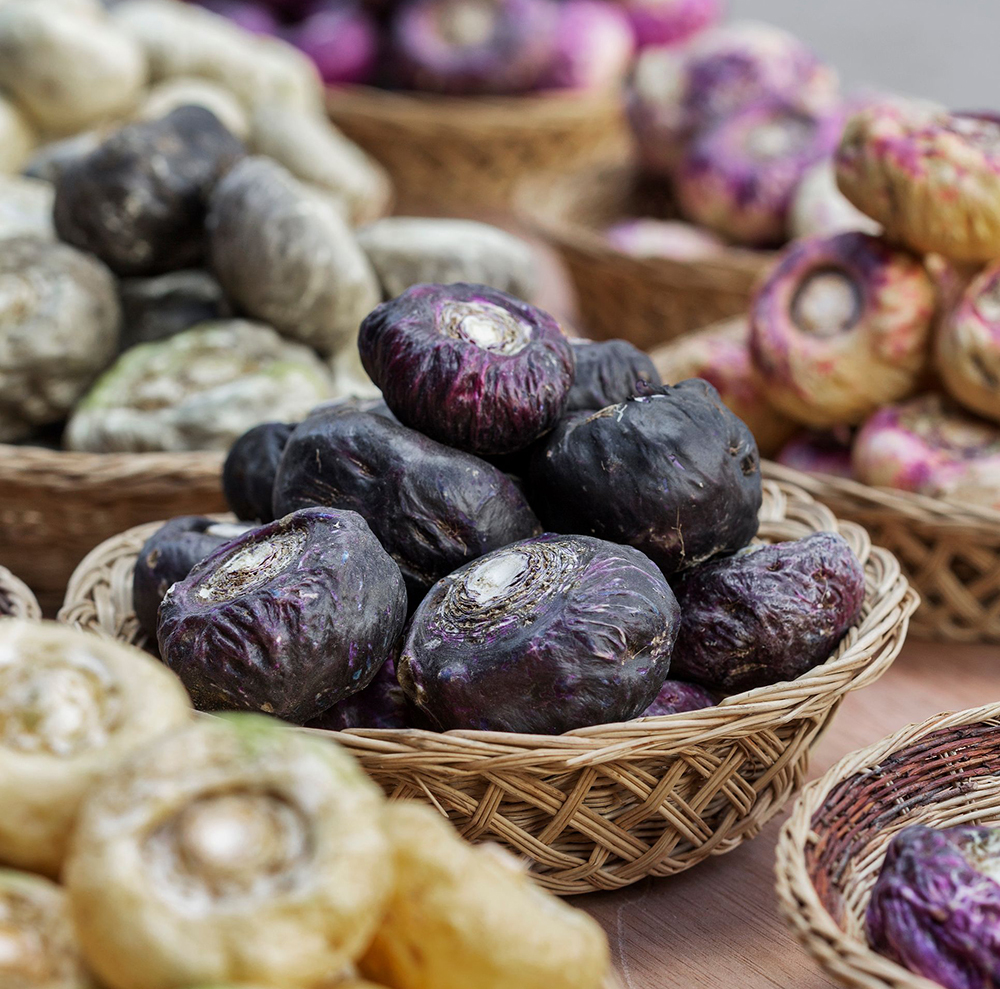 Why we specialize in maca root - The Maca Team