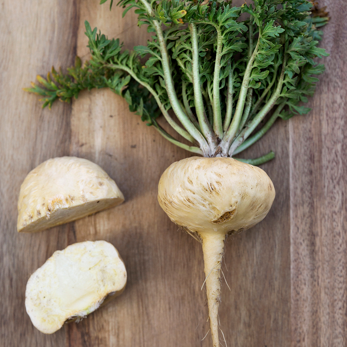 Fresh yellow maca root cut open