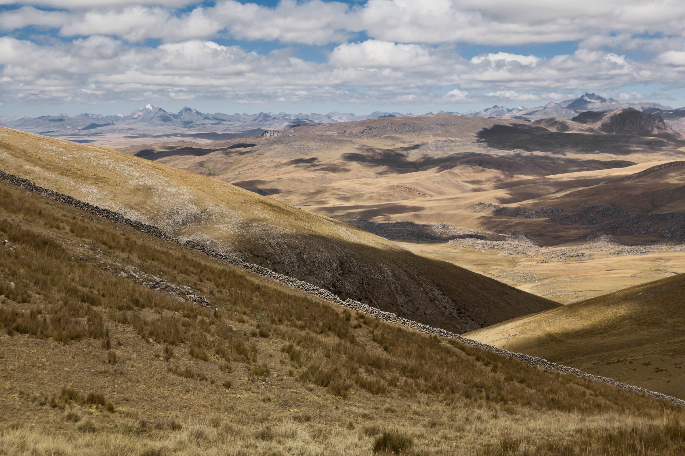 1-maca-fields-junin.jpg