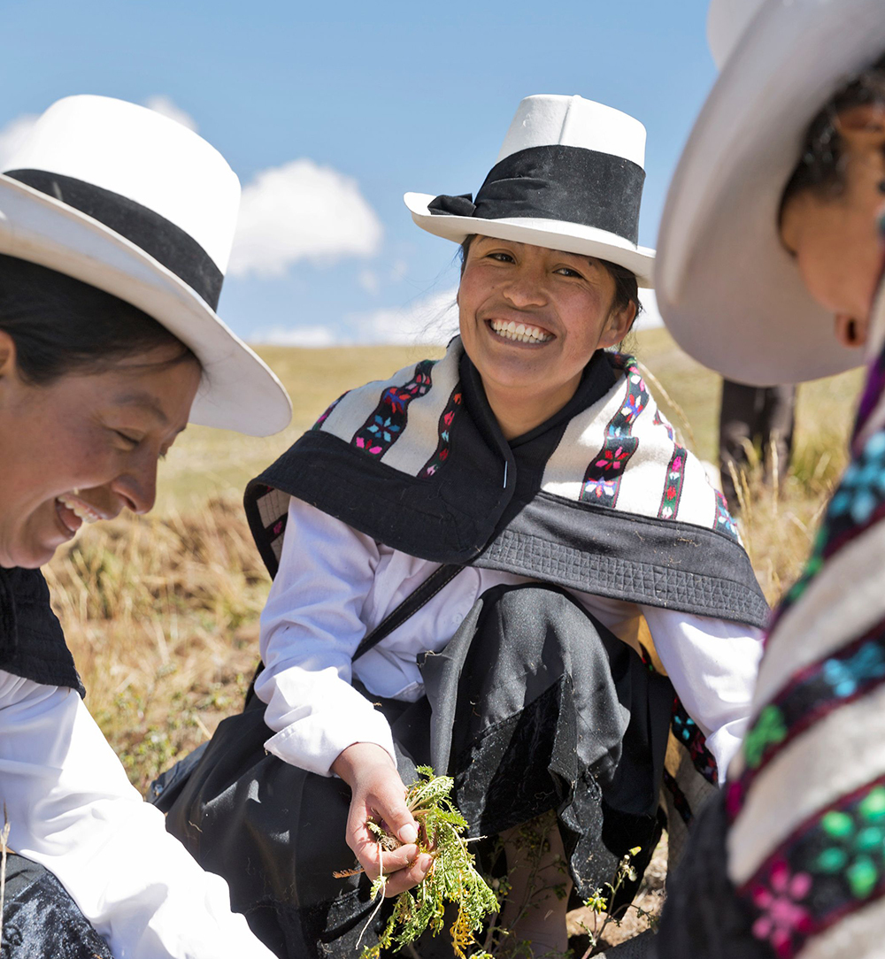 business model compliments - themacateam.com