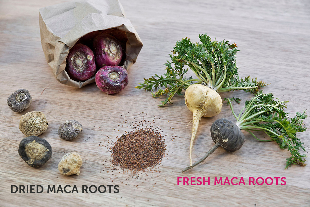 fresh-vs-dried-raw-maca-roots.jpg