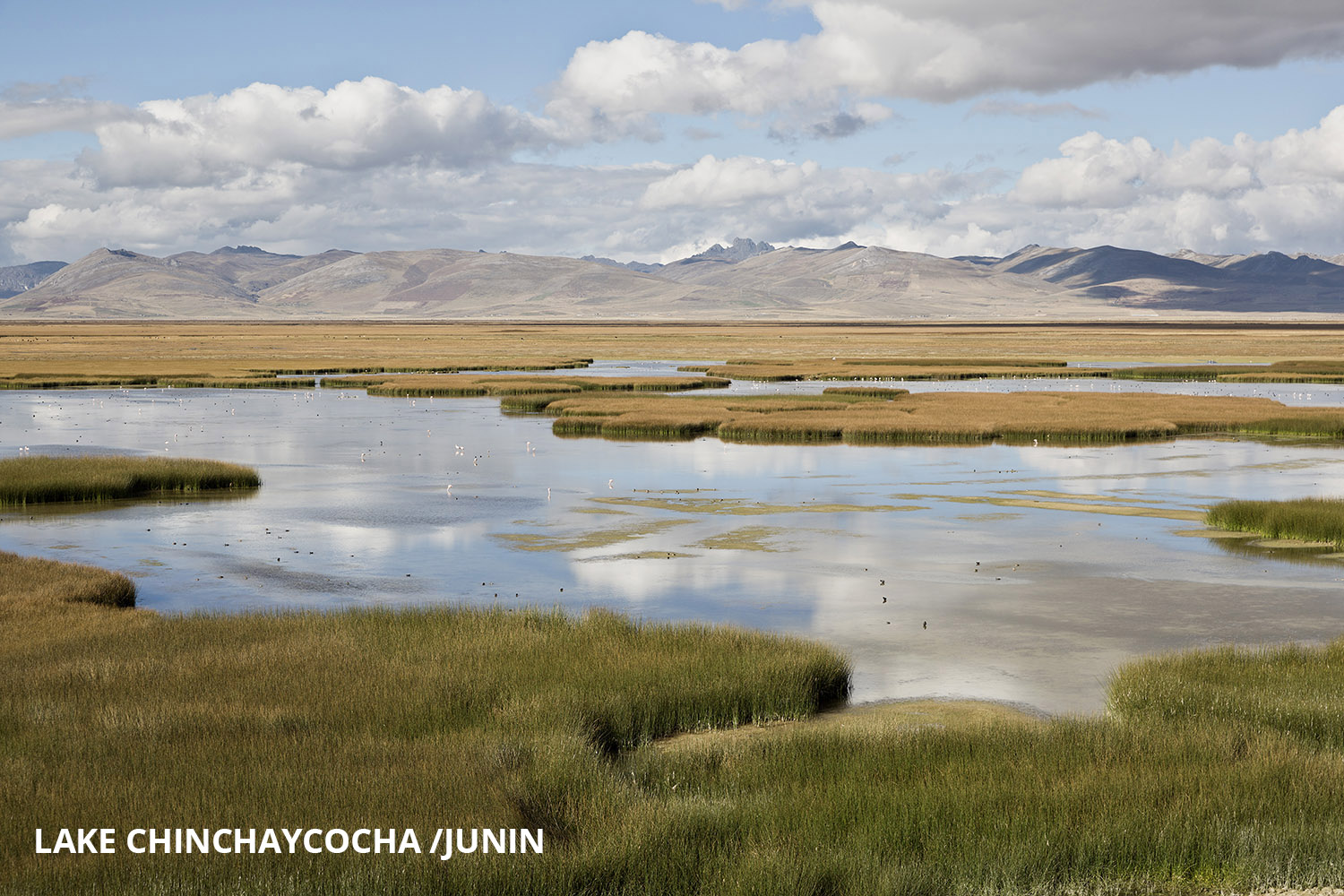 Lake Junin Shore Peru