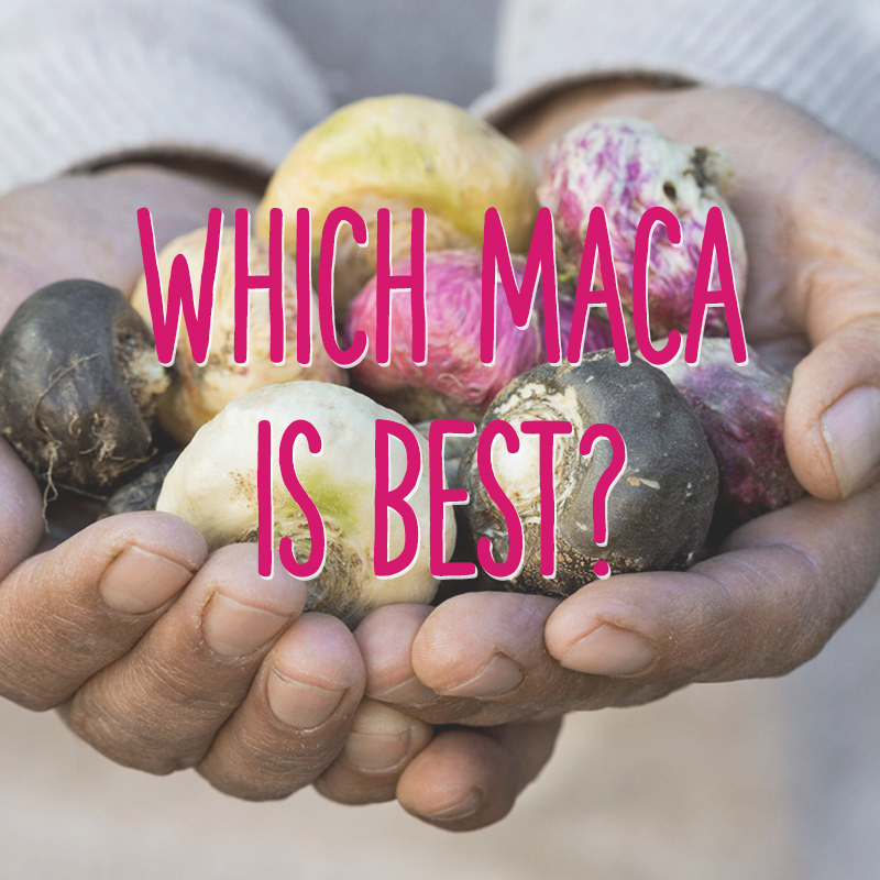 maca brand comparison reviews - themacateam.com