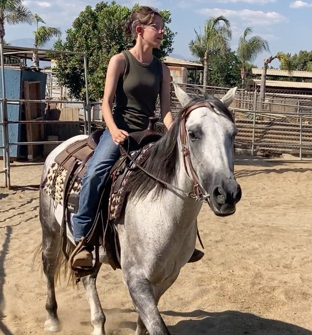 maca for horses