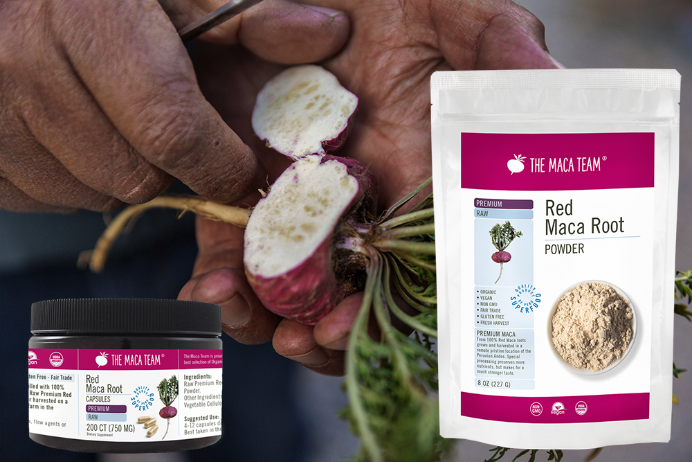 the-maca-team-premium-raw-red-maca-products-with-hand-and-root.jpg