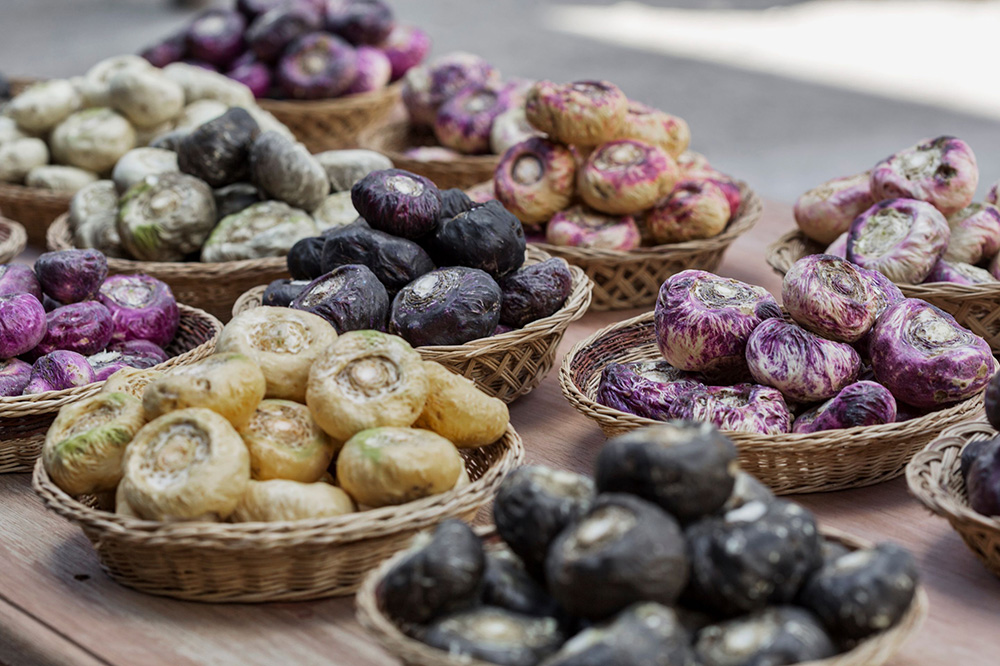 various-colors-in-maca-roots.jpg