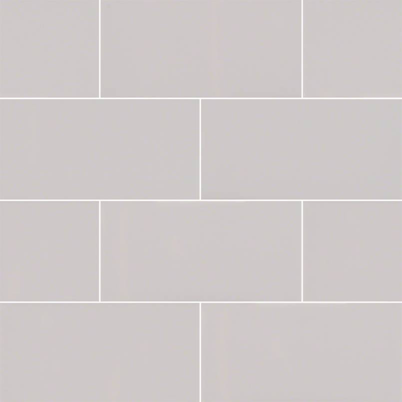 MS International Ceramic Series: 3x6 Gray Glossy Subway Wall Tile  NGRAGLO3X6-N