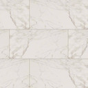 MS International Pietra Series: 2x4 Carrara Polished Porcelain Tile NPIECAR2X4P-N