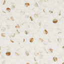 MS International Backsplash Series: Round Calacatta Gold Matte Tile SMOT-PT-CALGLD-ROUM
