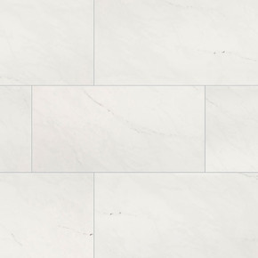 MS International Aria Series: 24x24 Ice Polished Porcelain Tile NARICE2424P