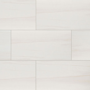 MS International Eden Series: 12x24 Dolomite porcelain Tile NEDEDOL1224P