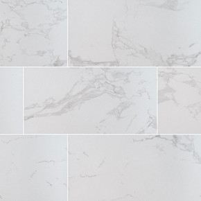 MS International Praia Carrara Series: 12x24 Polished Porcelain Tile NPRACAR1224P-N