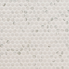 MS International Porcelain Series: Carrara Matte Penny Round Matte Tile SMOT-PT-PENRD-CARM